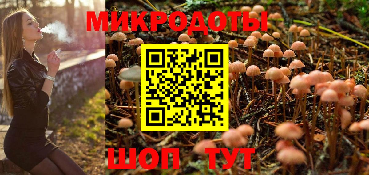 Выборг  Псилоцибиновые грибы GOLDEN TEACHER  Вход с VPN 