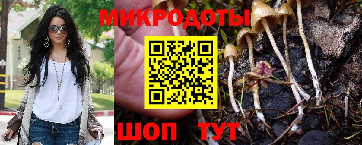 Псилоцибиновые грибы мухоморы Выборг